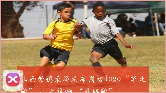 山西崇德荣海发布周边logo“华北豹” 、吉祥物 “晋钱豹”