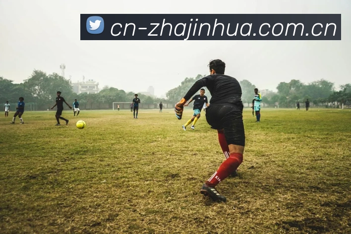 炸金花网站APP 封面图